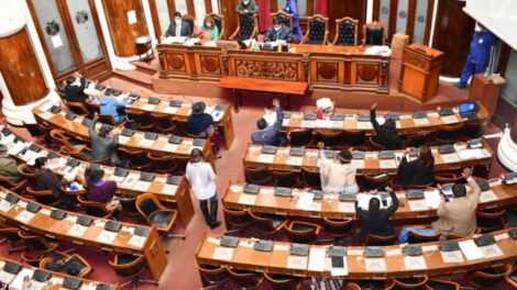 Elecciones Generales con garantías constitucionales