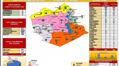 Reporte epidemiológico diario sobre Covid-19