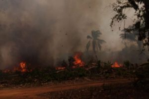 Incendios forestales en Bolivia