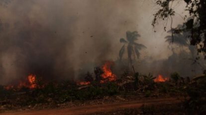 Incendios forestales en Bolivia