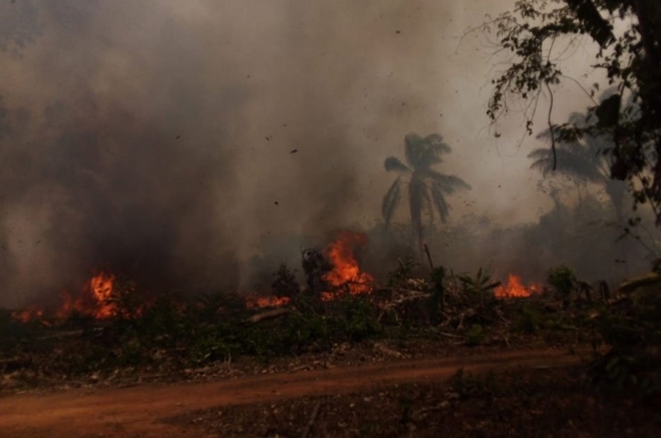 Incendios forestales en Bolivia
