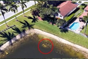 Google Earth encontró a un hombre desaparecido hace 22 años en Florida