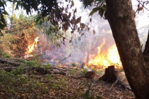 Incendios forestales en Bolivia