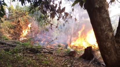 Incendios forestales en Bolivia