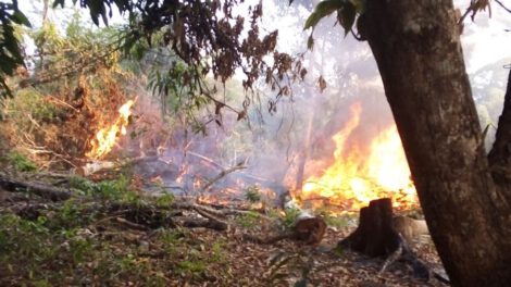Incendios forestales en Bolivia