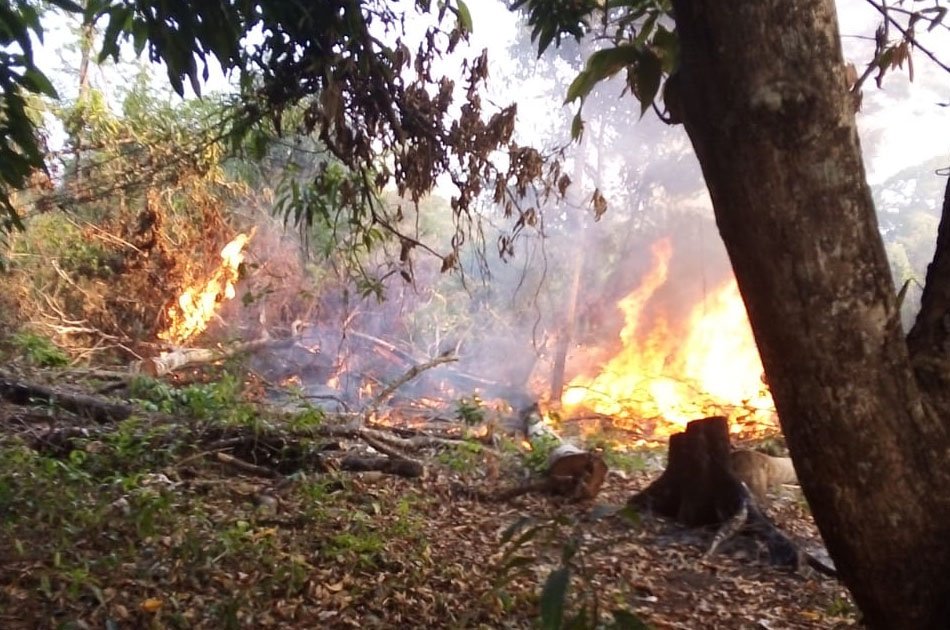 Incendios forestales en Bolivia