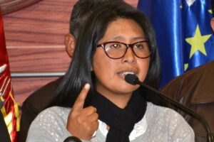Incumplimiento de la Constitución por parte de Jeanine Áñez
