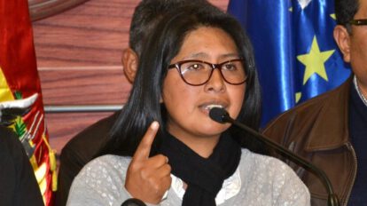 Incumplimiento de la Constitución por parte de Jeanine Áñez