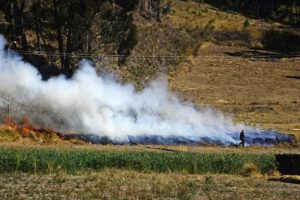 Incendios forestales en Bolivia