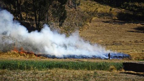 Incendios forestales en Bolivia
