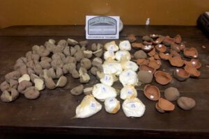 Boliviano apresado con cocaína en Buenos Aires