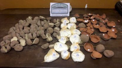 Boliviano apresado con cocaína en Buenos Aires