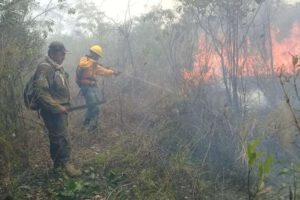 Helicóptero Chinook en la extinción de incendios en Guarayos