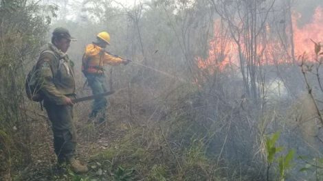 Helicóptero Chinook en la extinción de incendios en Guarayos