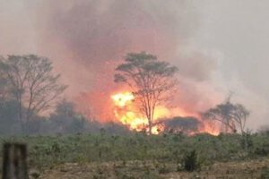 Incendios forestales en Santa Cruz mitigados con el Chinook