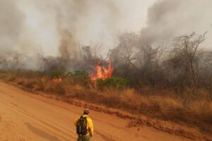 Incendios activos en Bolivia reportados en Santa Cruz