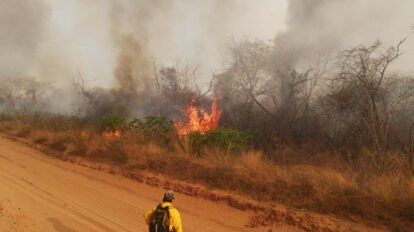 Incendios activos en Bolivia reportados en Santa Cruz