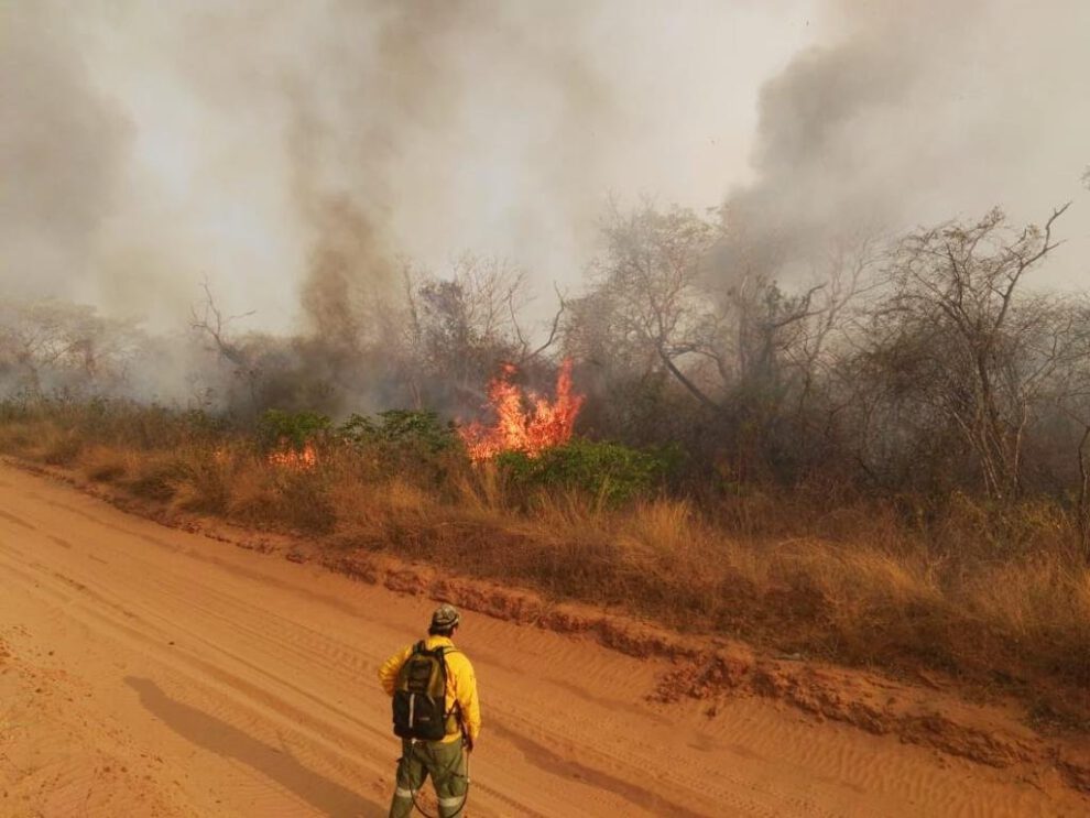 Incendios activos en Bolivia reportados en Santa Cruz