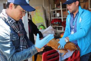 Rescate de aves en Bogotá por el Instituto Distrital de Protección Animal