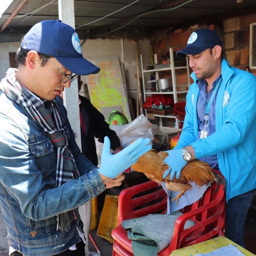 Rescate de aves en Bogotá por el Instituto Distrital de Protección Animal