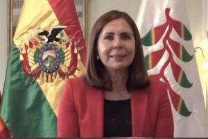 Longaric denuncia ante la OEA decisiones preocupantes que asume el MAS