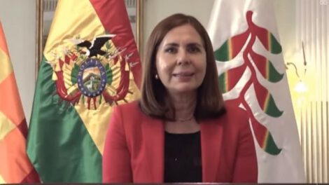 Longaric denuncia ante la OEA decisiones preocupantes que asume el MAS