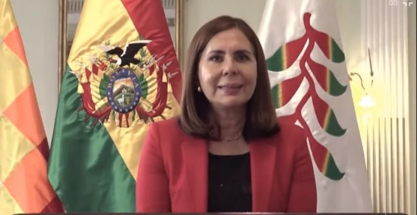 Longaric denuncia ante la OEA decisiones preocupantes que asume el MAS