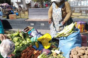 Efectos del aislamiento social en la Seguridad Nacional de Alimentación