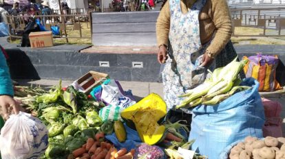 Efectos del aislamiento social en la Seguridad Nacional de Alimentación