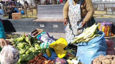 Efectos del aislamiento social en la Seguridad Nacional de Alimentación