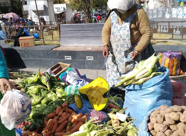 Efectos del aislamiento social en la Seguridad Nacional de Alimentación