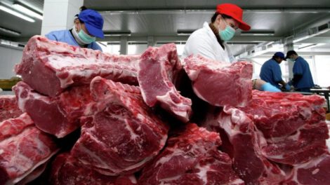 Exportación de carne bovina en Bolivia