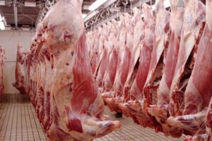 coronavirus en carne argentina