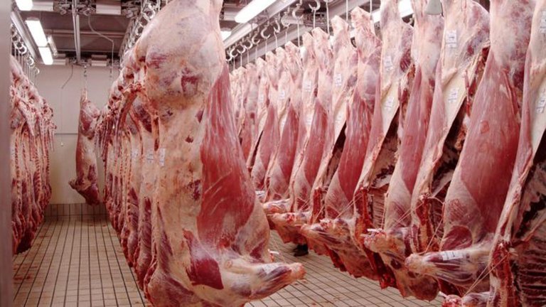 coronavirus en carne argentina