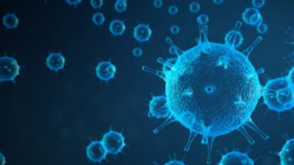 Virus Chapare, un nuevo virus mortal similar al ébola con origen boliviano