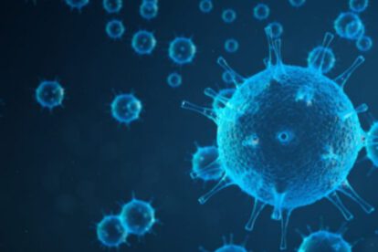 Virus Chapare, un nuevo virus mortal similar al ébola con origen boliviano