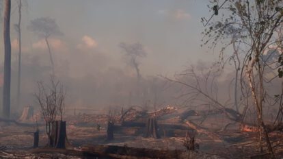 Incendios forestales en Santa Cruz