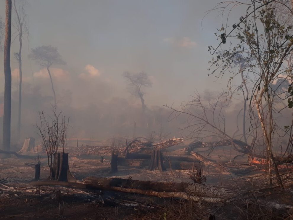 Incendios forestales en Santa Cruz