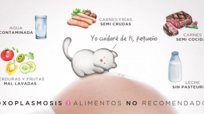 Toxoplasmosis: ¿Qué es, cómo se contagia y cuáles son los mitos?