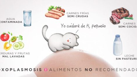 Toxoplasmosis: ¿Qué es, cómo se contagia y cuáles son los mitos?