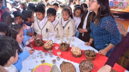 Licitación canasta estudiantil Oruro
