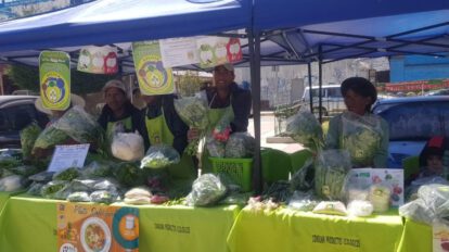 Feria ecológica de alimentos orgánicos para prevenir enfermedades crónicas