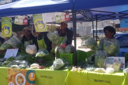 Feria ecológica de alimentos orgánicos para prevenir enfermedades crónicas