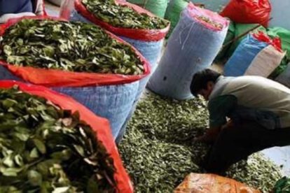 Impuesto a la comercialización de la coca