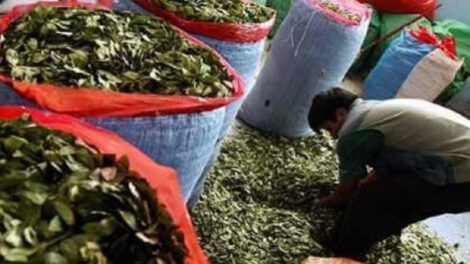 Impuesto a la comercialización de la coca