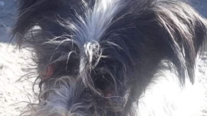 Leo necesita una tomografía para ser operado de la nariz
