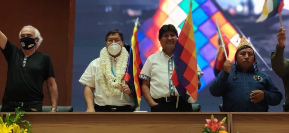 Uso de hierbas para combatir la pandemia por Luis Arce