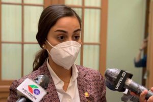 Candidatos con antecedentes de violencia según Luisa Nayar