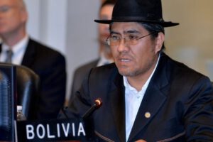 Gobierno de facto de Áñez en la ONU