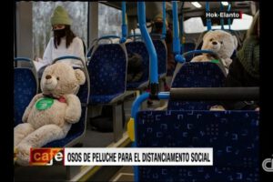 Osos de peluche en Finlandia ayudando al distanciamiento social